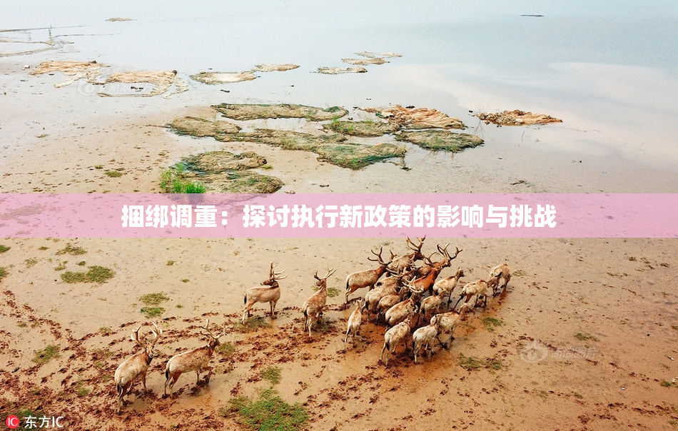捆绑调重：探讨执行新政策的影响与挑战