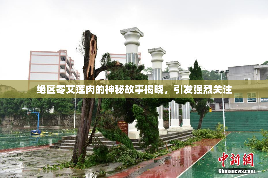 绝区零艾莲肉的神秘故事揭晓，引发强烈关注