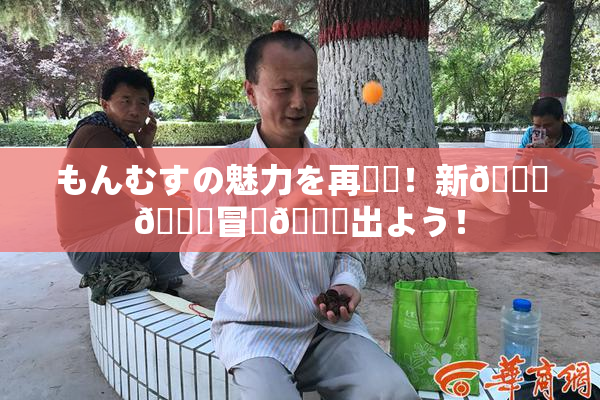 もんむすの魅力を再発見！新👅🍑冒険🎆出よう！