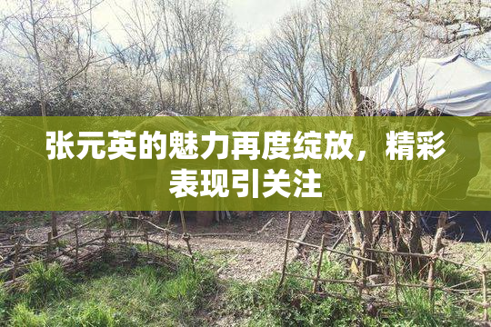 张元英的魅力再度绽放，精彩表现引关注