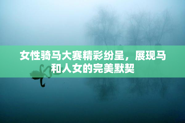女性骑马大赛精彩纷呈，展现马和人女的完美默契