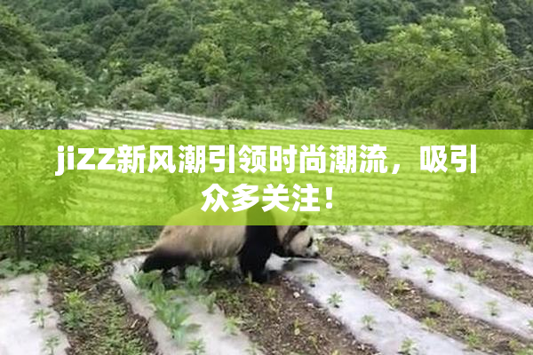 jiZZ新风潮引领时尚潮流，吸引众多关注！