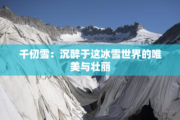 千仞雪：沉醉于这冰雪世界的唯美与壮丽
