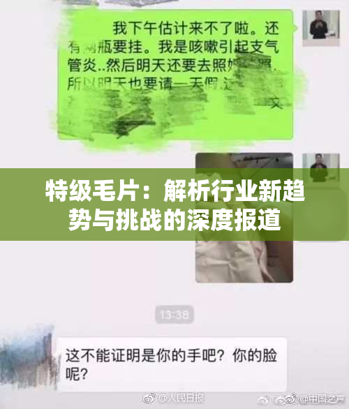 特级毛片：解析行业新趋势与挑战的深度报道