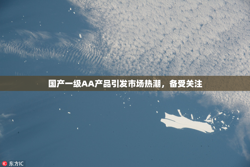 国产一级AA产品引发市场热潮，备受关注