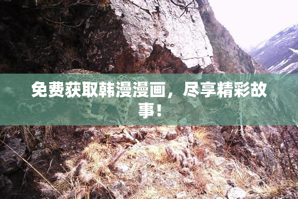 免费获取韩漫漫画，尽享精彩故事！