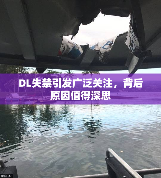 DL失禁引发广泛关注，背后原因值得深思