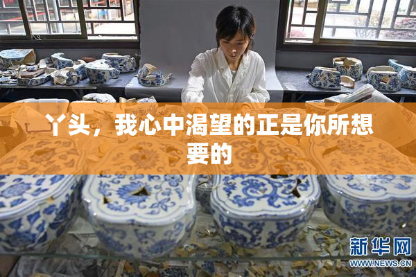 丫头，我心中渴望的正是你所想要的