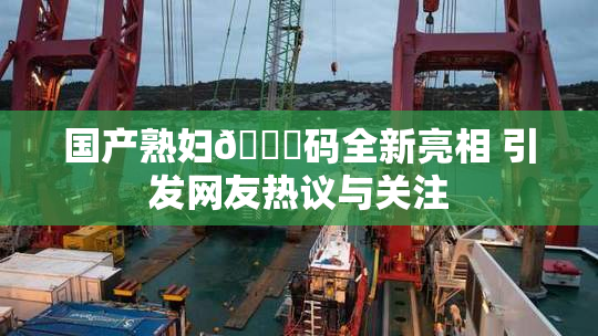国产熟妇🈚码全新亮相 引发网友热议与关注