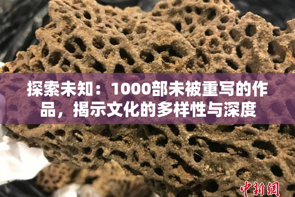 探索未知：1000部未被重写的作品，揭示文化的多样性与深度