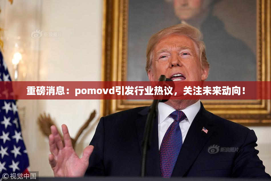 重磅消息：pomovd引发行业热议，关注未来动向！