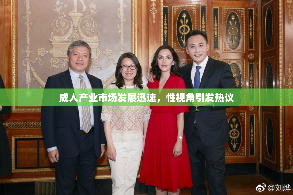 成人产业市场发展迅速，性视角引发热议