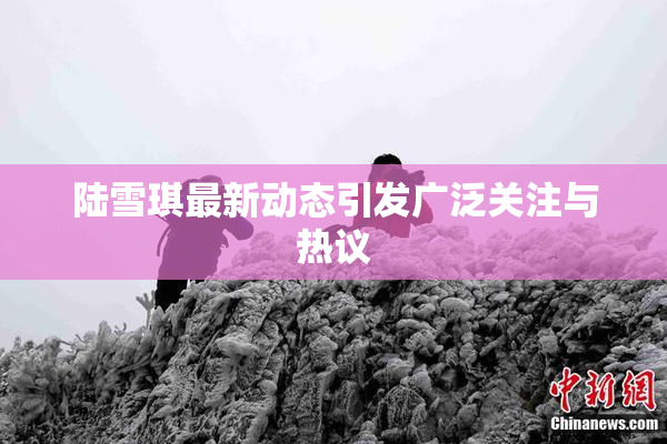 陆雪琪最新动态引发广泛关注与热议