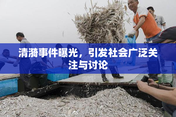 清漪事件曝光，引发社会广泛关注与讨论