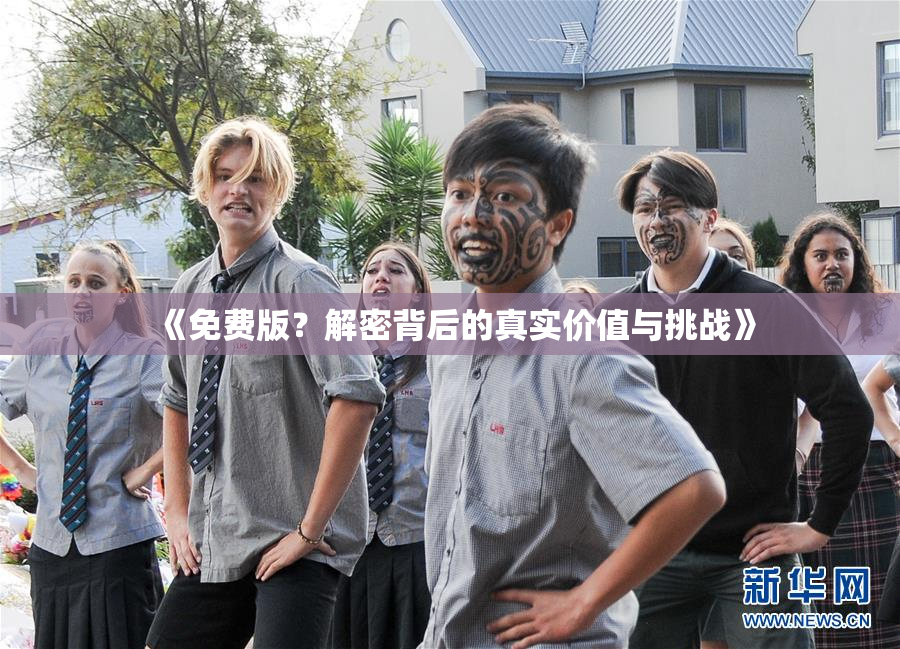 《免费版？解密背后的真实价值与挑战》
