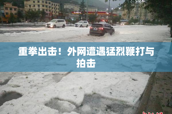 重拳出击！外网遭遇猛烈鞭打与拍击