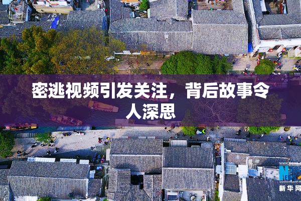 密逃视频引发关注，背后故事令人深思