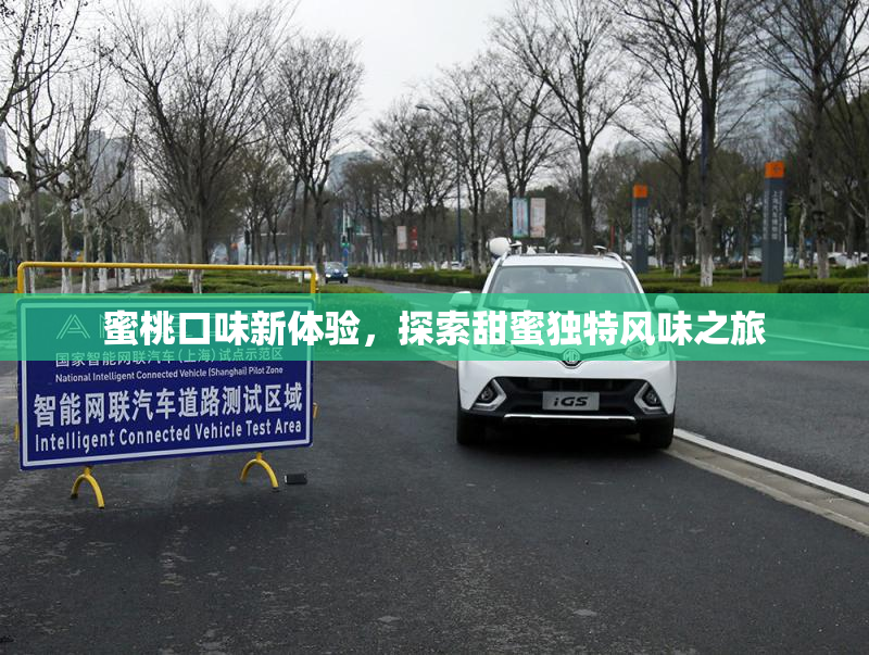 蜜桃口味新体验，探索甜蜜独特风味之旅