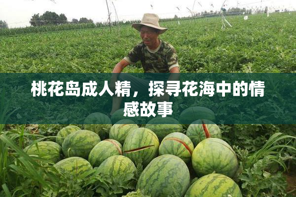 桃花岛成人精，探寻花海中的情感故事