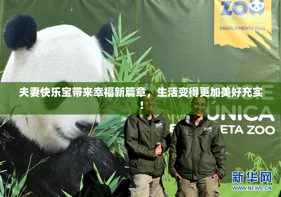 夫妻快乐宝带来幸福新篇章，生活变得更加美好充实！