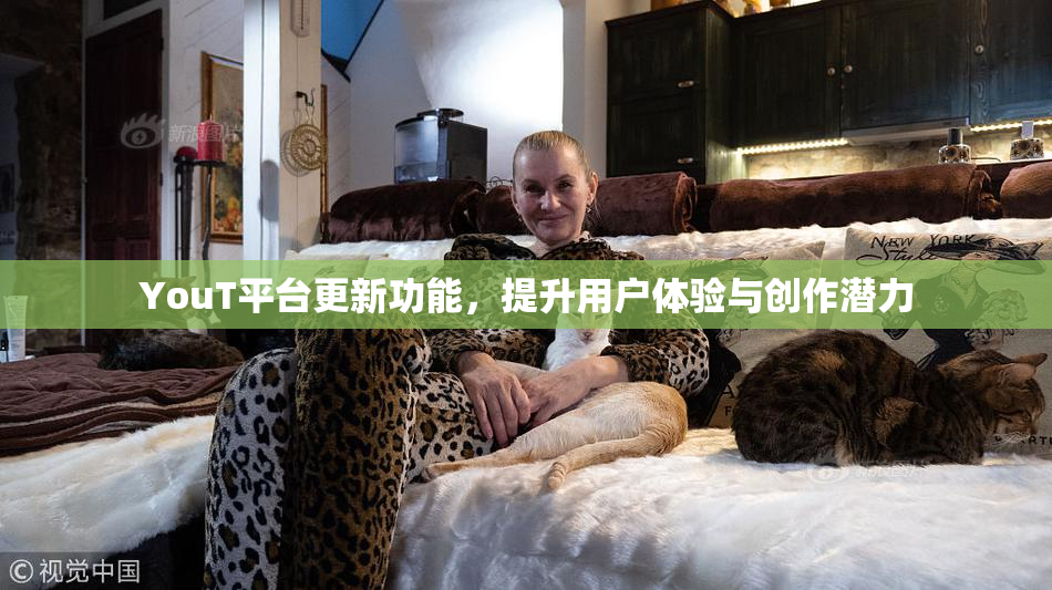 YouT平台更新功能，提升用户体验与创作潜力