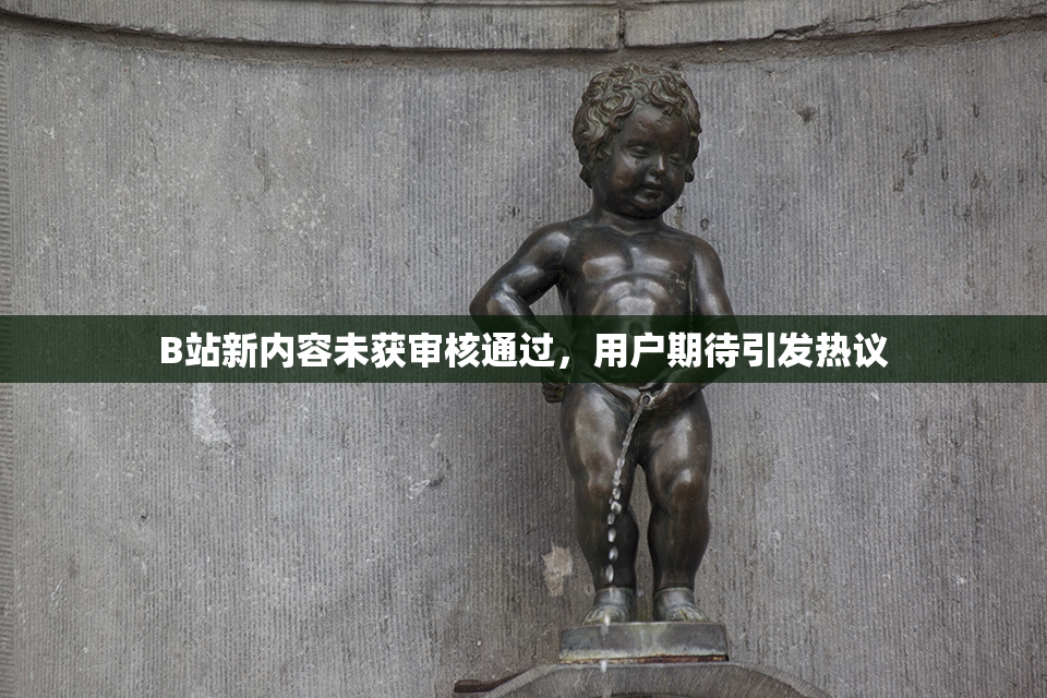 B站新内容未获审核通过，用户期待引发热议