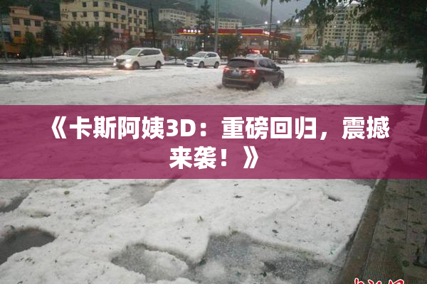 《卡斯阿姨3D：重磅回归，震撼来袭！》