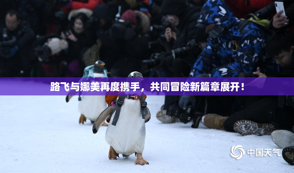 路飞与娜美再度携手，共同冒险新篇章展开！