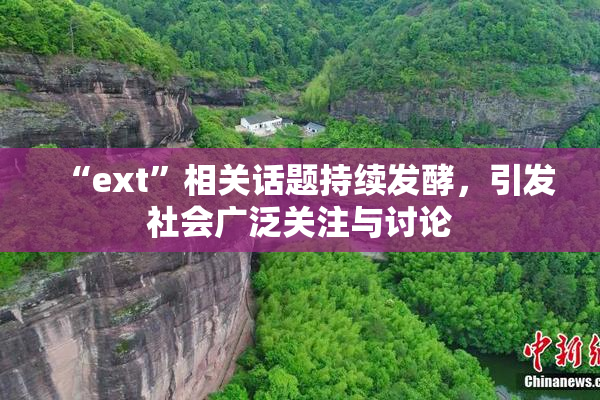 “ext”相关话题持续发酵，引发社会广泛关注与讨论