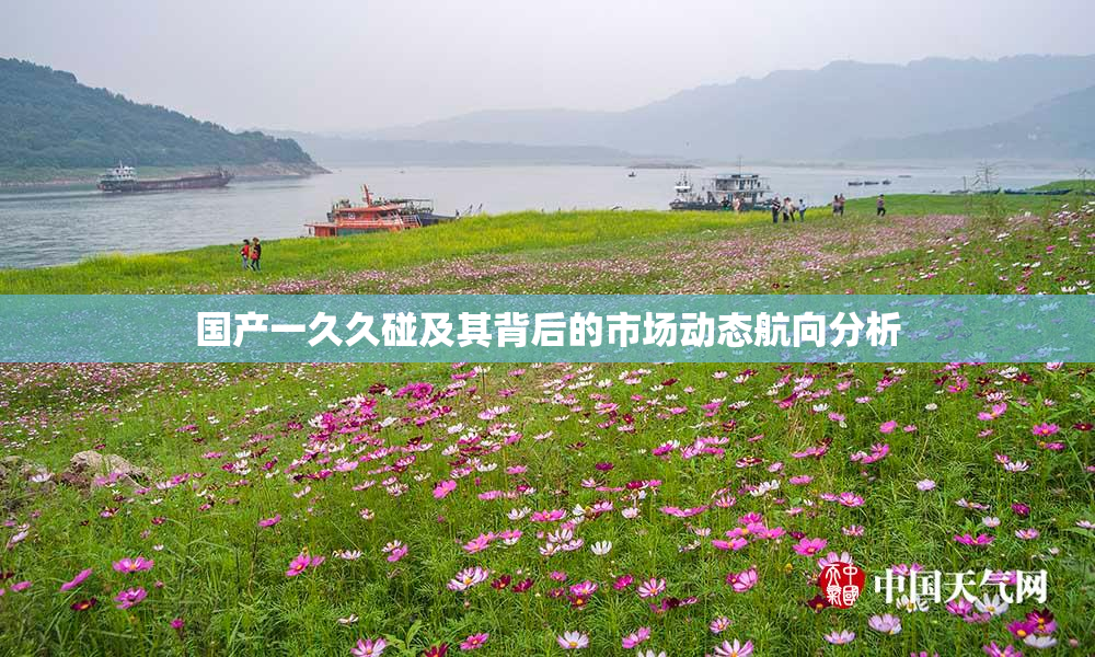 国产一久久碰及其背后的市场动态航向分析
