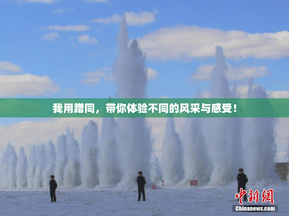 我用蹭同，带你体验不同的风采与感受！