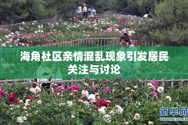 海角社区亲情混乱现象引发居民关注与讨论