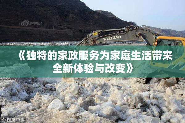 《独特的家政服务为家庭生活带来全新体验与改变》