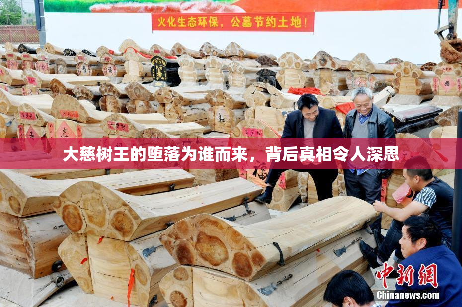 大慈树王的堕落为谁而来，背后真相令人深思