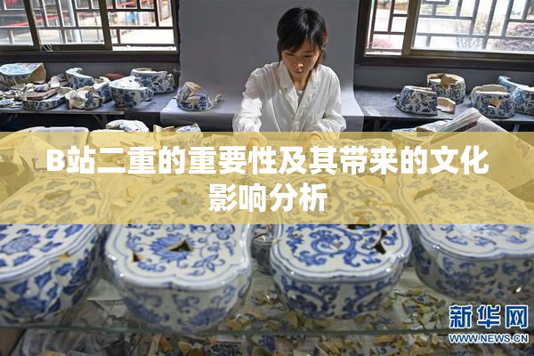 B站二重的重要性及其带来的文化影响分析