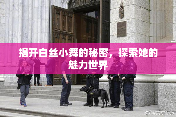 揭开白丝小舞的秘密，探索她的魅力世界