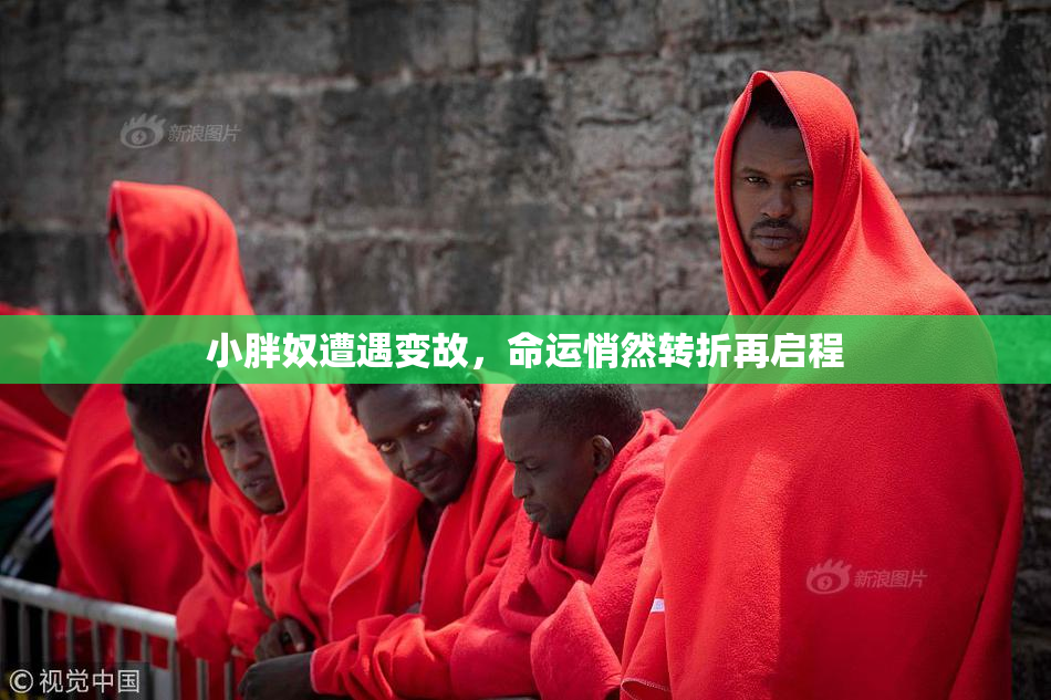 小胖奴遭遇变故，命运悄然转折再启程