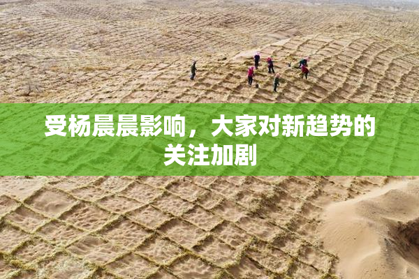 受杨晨晨影响，大家对新趋势的关注加剧