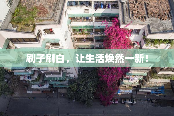 刷子刷白，让生活焕然一新！
