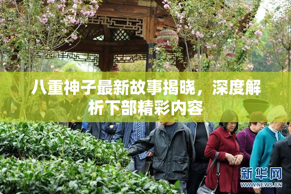 八重神子最新故事揭晓，深度解析下部精彩内容