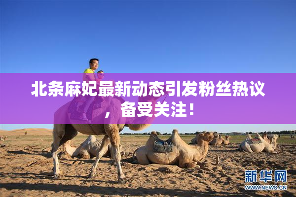 北条麻妃最新动态引发粉丝热议，备受关注！