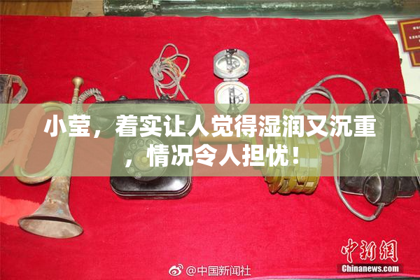 小莹，着实让人觉得湿润又沉重，情况令人担忧！