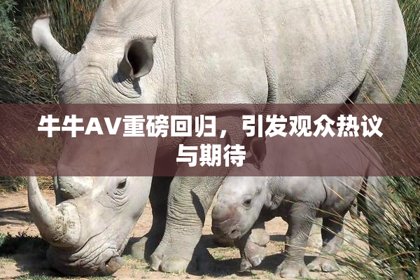 牛牛AV重磅回归，引发观众热议与期待