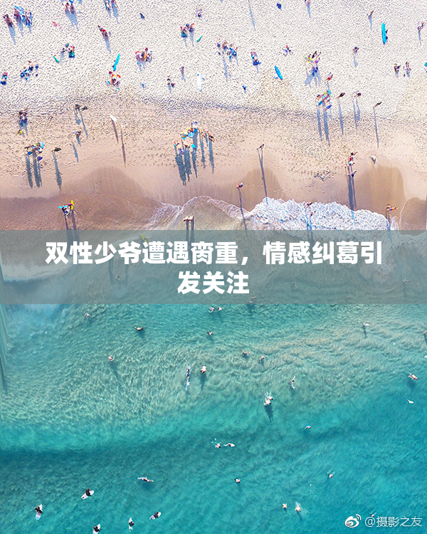 双性少爷遭遇脔重，情感纠葛引发关注