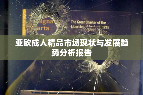 亚欧成人精品市场现状与发展趋势分析报告