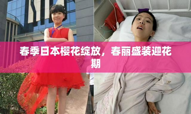 春季日本樱花绽放，春丽盛装迎花期