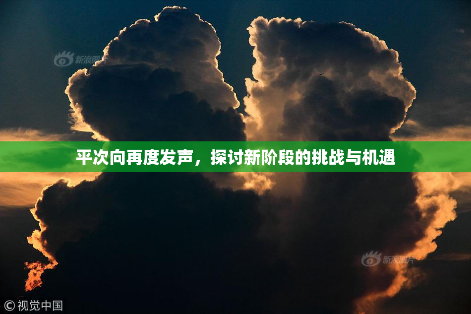 平次向再度发声，探讨新阶段的挑战与机遇