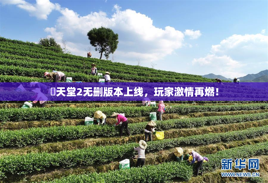 妺天堂2无删版本上线，玩家激情再燃！