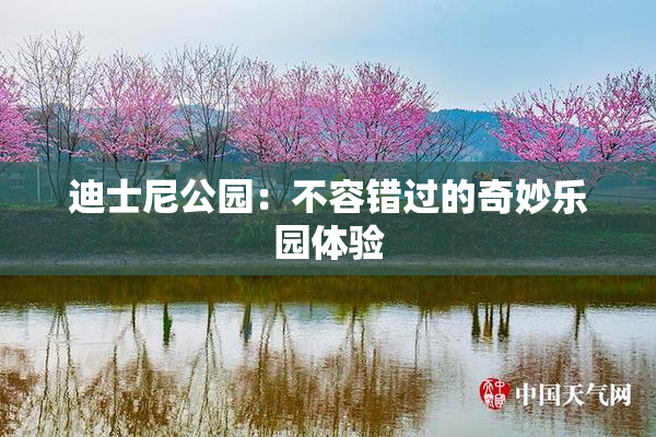 迪士尼公园：不容错过的奇妙乐园体验