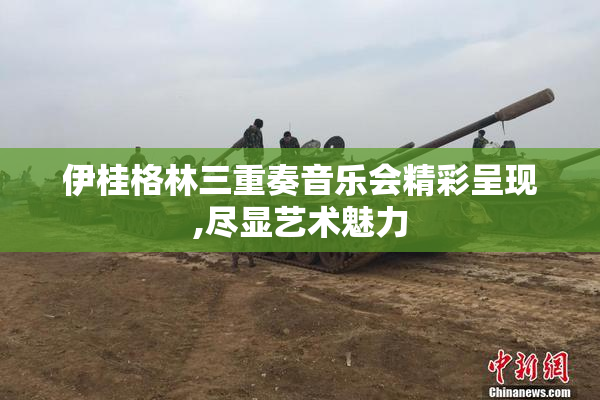 伊桂格林三重奏音乐会精彩呈现,尽显艺术魅力